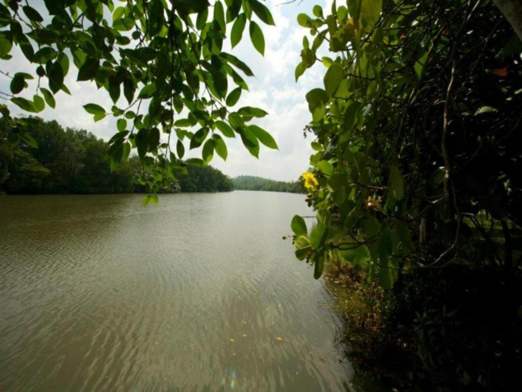 Mangrove Escapes Resort Bentota Exterior photo