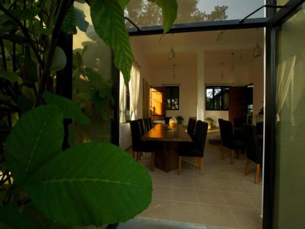 Mangrove Escapes Resort Bentota Exterior photo